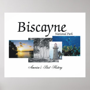 Póster ABH Biscayne