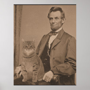 Póster Abraham Lincoln y su gato Gloria 3
