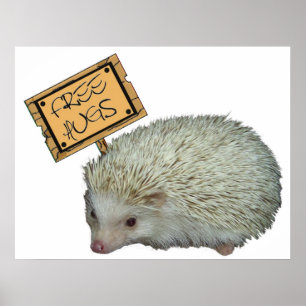 Póster Abrazos gratis Hedgehog