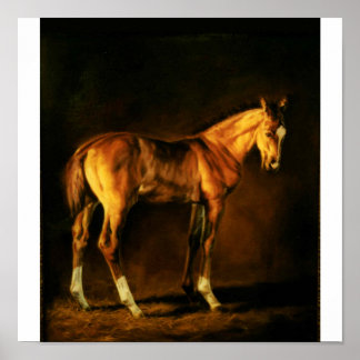 PÓSTER "ABRIGO DE MUCHOS COLORES" DE LONNI CLARKE