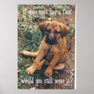 Póster abrigo de perro