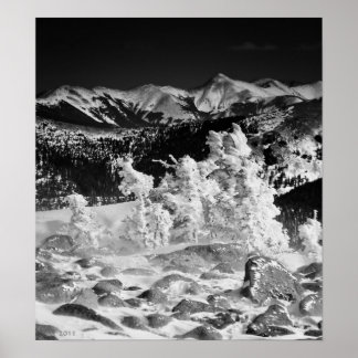 Póster Abrigo en polvo