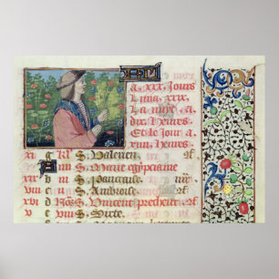 Póster Abril: Picando flores