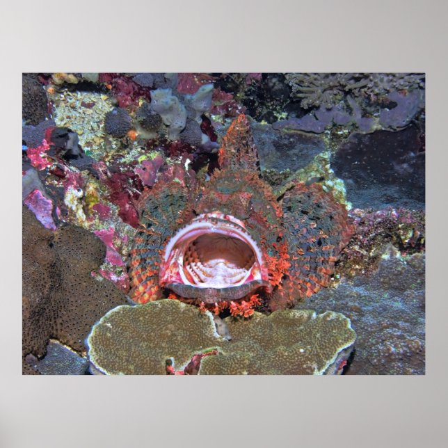 Póster Abrir ancho (Frente)