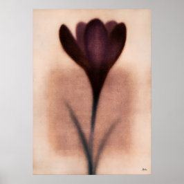 Póster Abstracción floral japonesa de crocus púrpura
