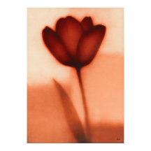 Abstracción floral japonesa Tulipán rojo