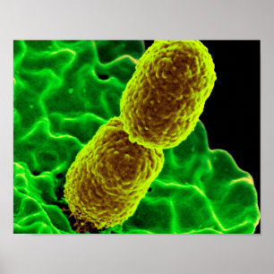 Póster abstract microbiology art custom poster canvas