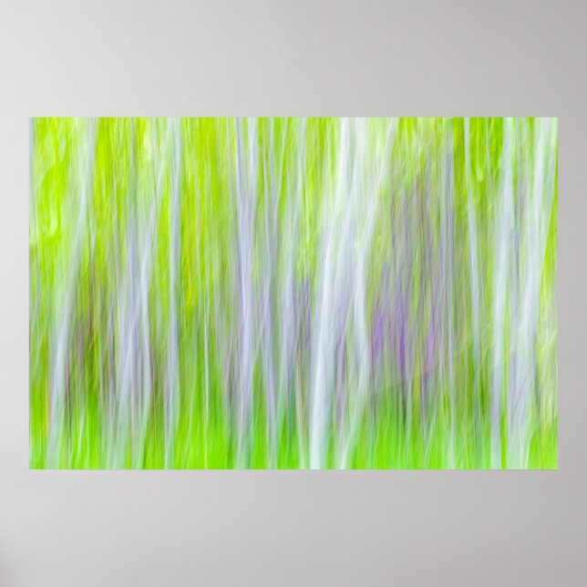 Póster Abstract of Aspen Trees | Yakima River Trail, WA (Frente)