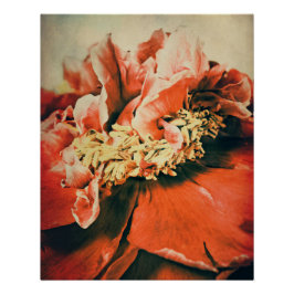 Póster Abstrakte Pfingstrose