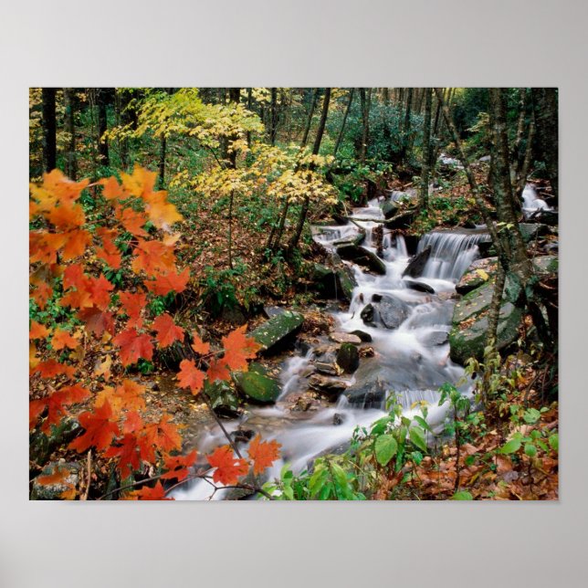 Póster Abuelo (Frente)