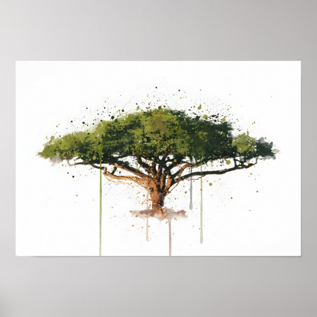 Póster Acacia (Frente)