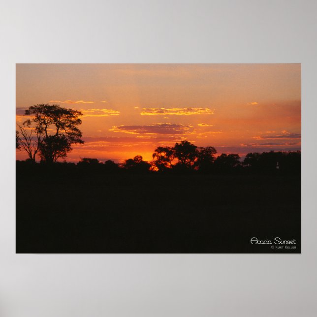 Póster Acacia Sunset Print (Frente)