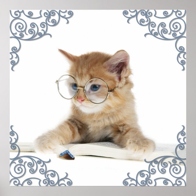 Póster Académico De Gato (Frente)