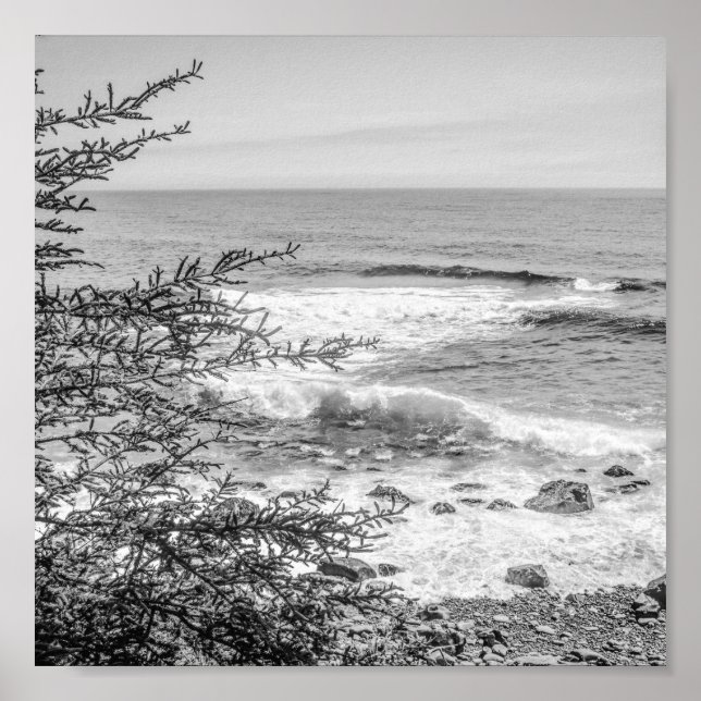 Póster Acadia Maine Coastline Black and White Archival (Frente)