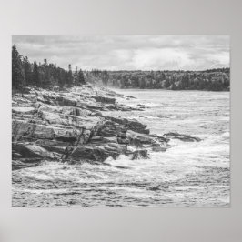 Póster Acadia Maine Rocky Coastline Black and White