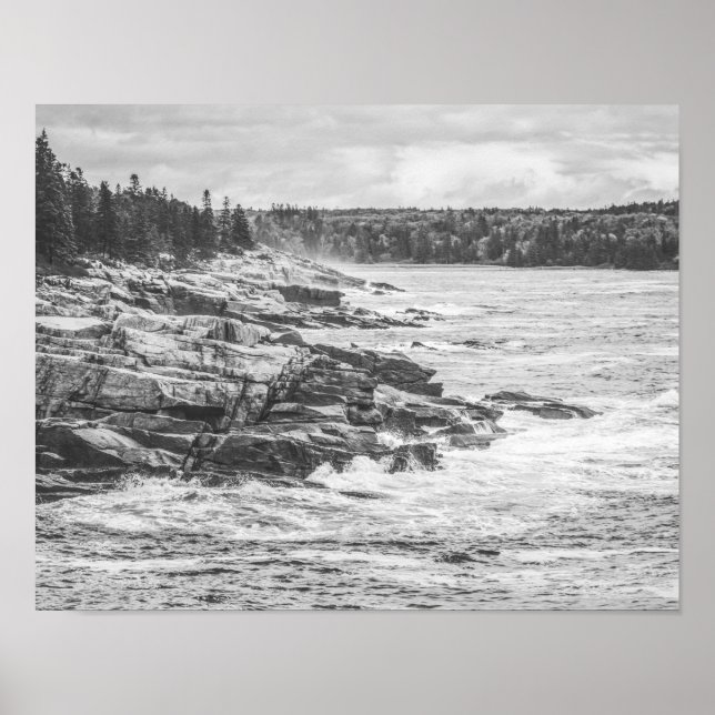 Póster Acadia Maine Rocky Coastline Black and White (Frente)