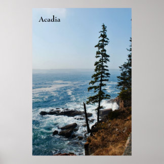 Póster Acadia Poster - 1