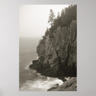 Póster Acantilado marino en Quoddy Head, Maine
