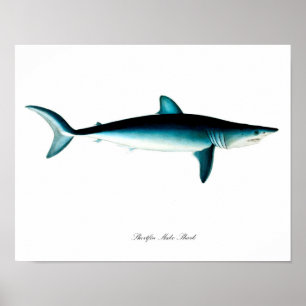 Póster Acceso rápido Mako Shark Poster Art Imprimir No. 4