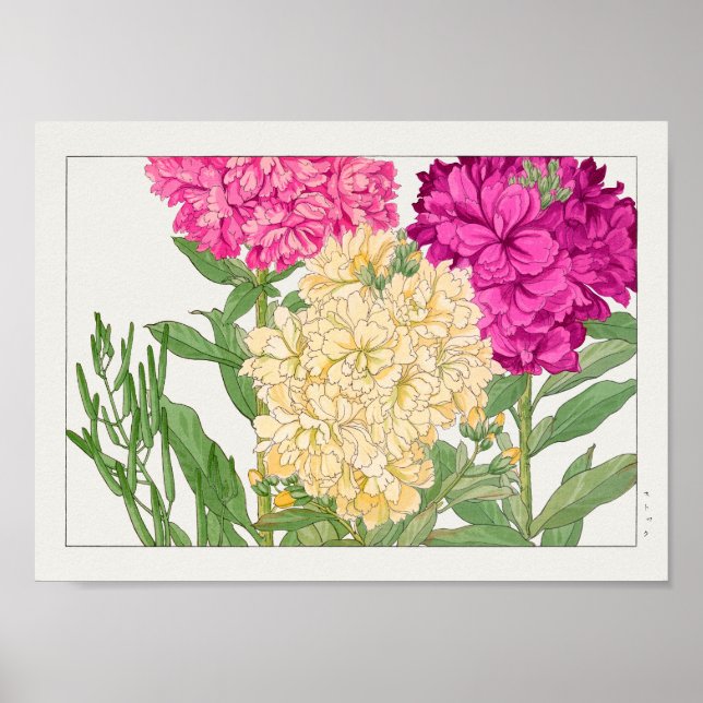 Póster Acciones de Tanigami Konan (Frente)