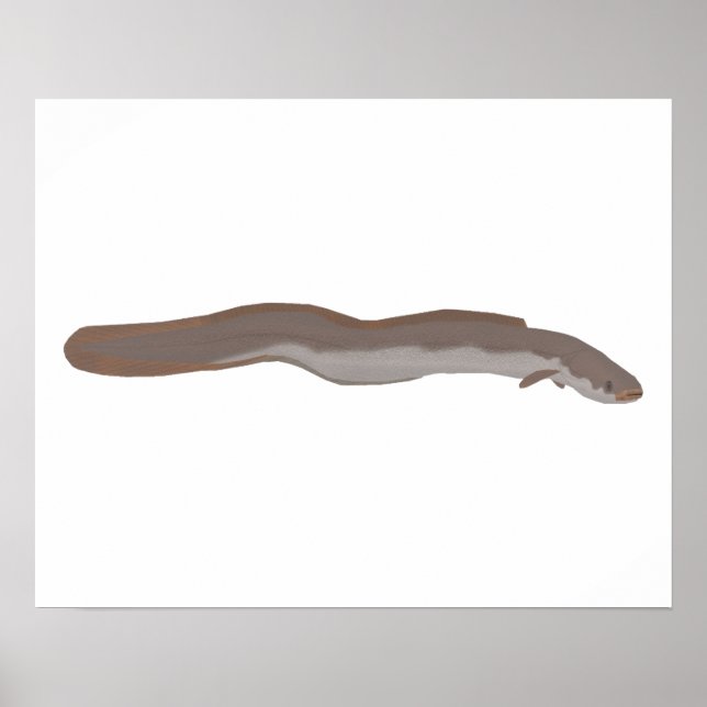 Póster Aceite de Atunes del Sur (Frente)