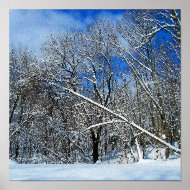 Póster Aceite de tormenta de invierno (Frente)