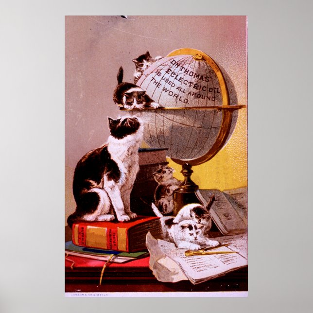 Póster Aceite ecléctico para gatos (Frente)