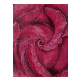 Póster Acercamiento a la rosa roja