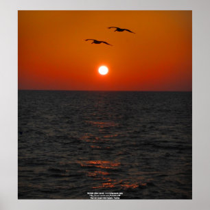 Póster Aclaramiento del muelle 60, FL Sunset