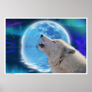 Póster ACOMPAÑAMIENTO de lobos árticos en Aurora y Moon W