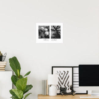 Póster Acorns to Oaks Poster