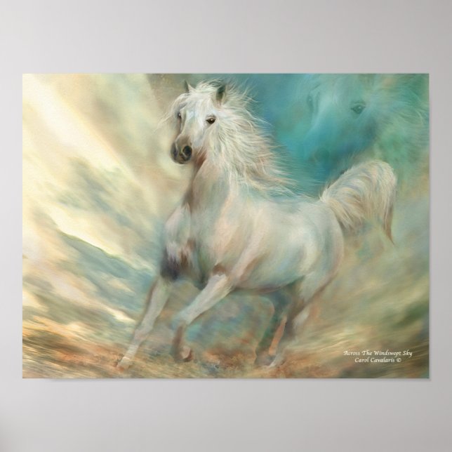 Póster Across The Windswept Sky Art Poster/Print (Frente)