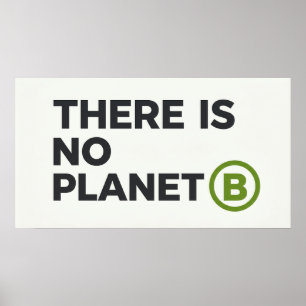 Póster Activista ambiental No hay planeta B