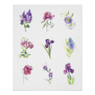 Póster Acuarela Botánica de Nueve Flores de Primavera