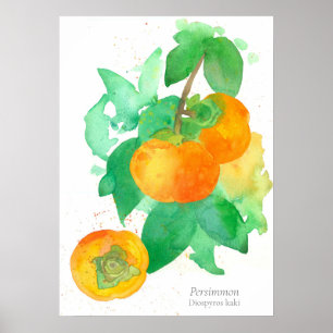 Póster Acuarela Botánica Fruta Persimmon