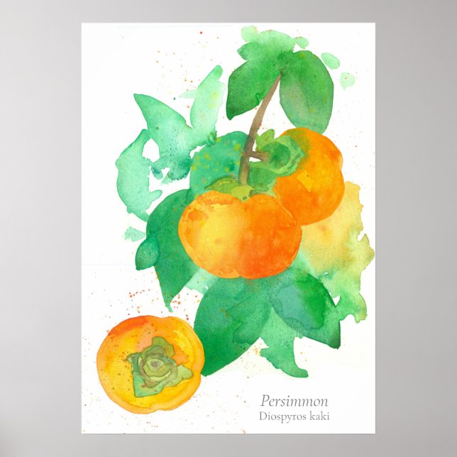 Póster Acuarela Botánica Fruta Persimmon (Frente)