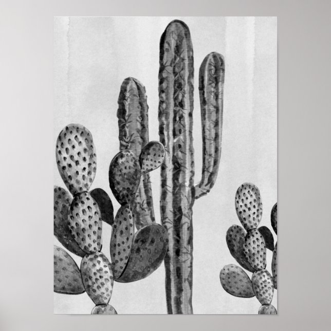 Póster Acuarela Cactus blanco negro Poster suroeste (Frente)