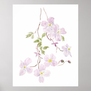Póster acuarela clematis púrpura