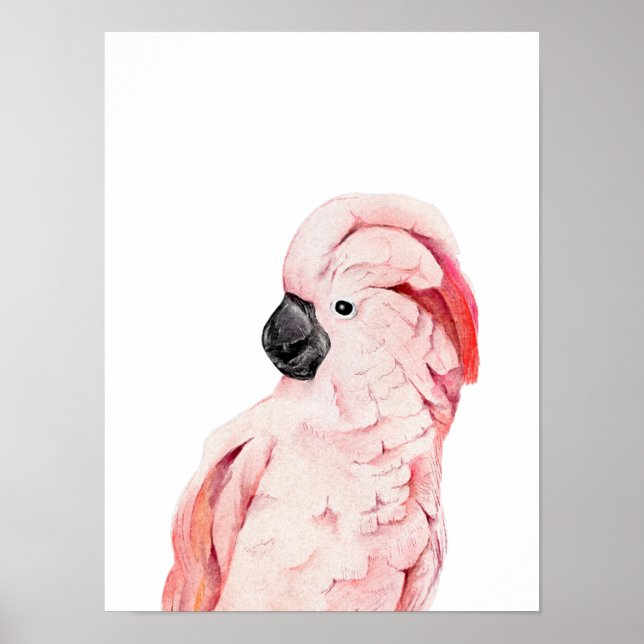 Póster Acuarela Cockatoo rosa Moluccan (Frente)