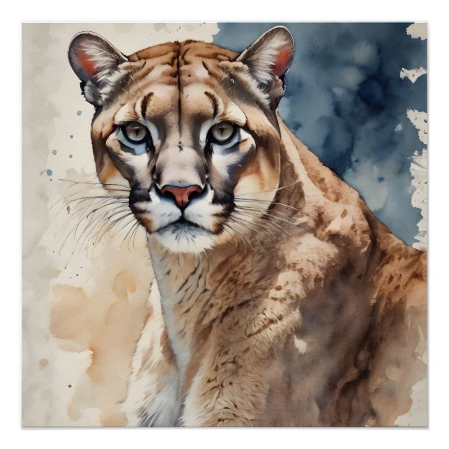 Póster Acuarela Cougar no 3 (Anverso)