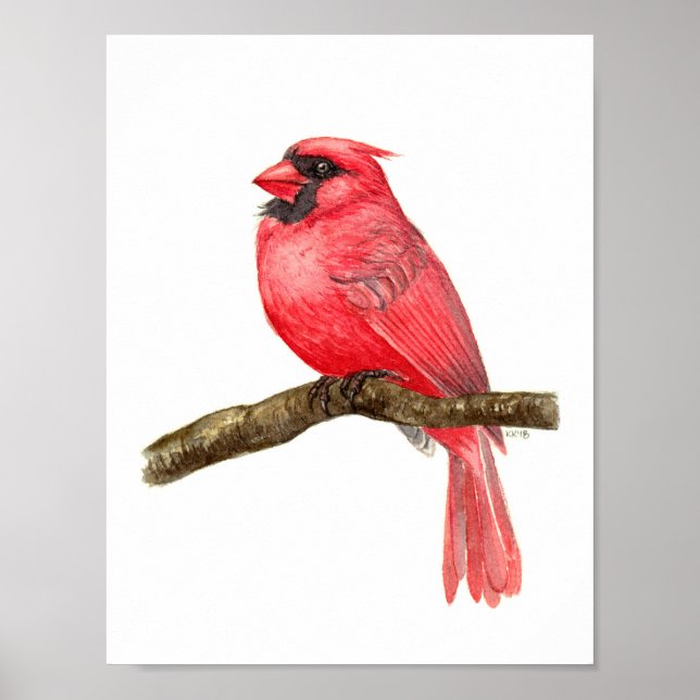 Póster acuarela de ave cardinal (Frente)