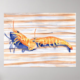 Póster Acuarela de camarón en un muelle, cebo de pesca