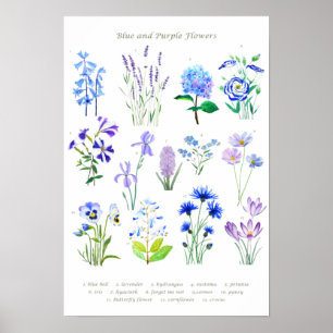 Póster acuarela de colección de flores azul y púrpura