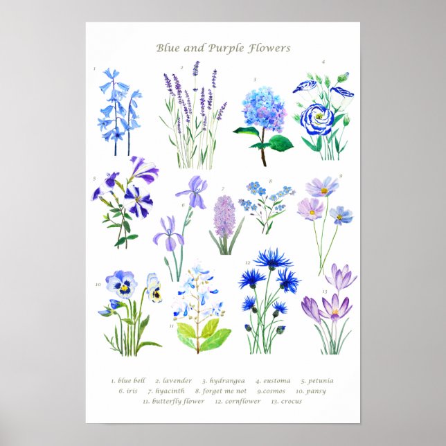 Póster acuarela de colección de flores azul y púrpura (Frente)