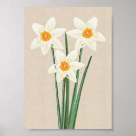 Póster Acuarela de Daffodils de primavera fresca