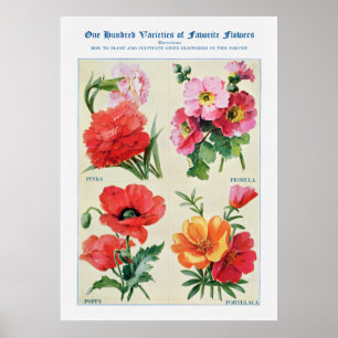 Póster Acuarela de flores 3
