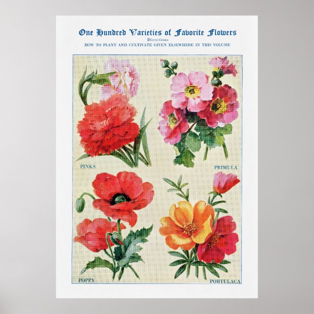 Póster Acuarela de flores 3 (Frente)