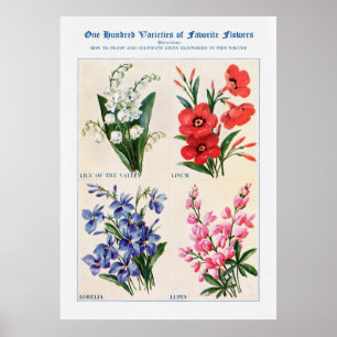 Póster Acuarela de flores 4