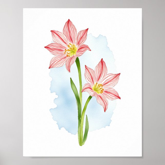 Póster Acuarela de flores de Amaryllis (Frente)
