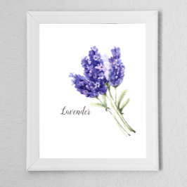 Póster Acuarela de flores de lavanda